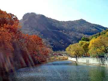 管家婆黑白马报图库，永生 纵横